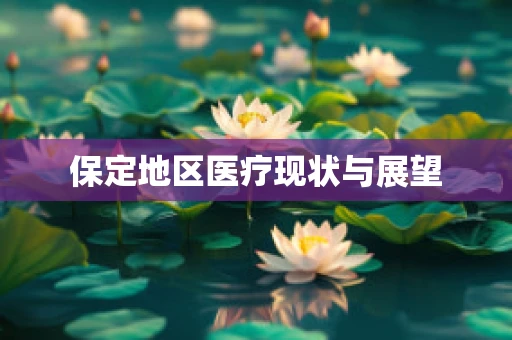 保定地区医疗现状与展望
