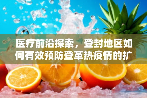 医疗前沿探索，登封地区如何有效预防登革热疫情的扩散？