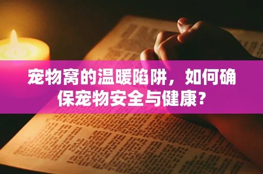 宠物窝的温暖陷阱，如何确保宠物安全与健康？