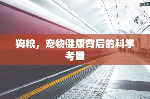 狗粮，宠物健康背后的科学考量