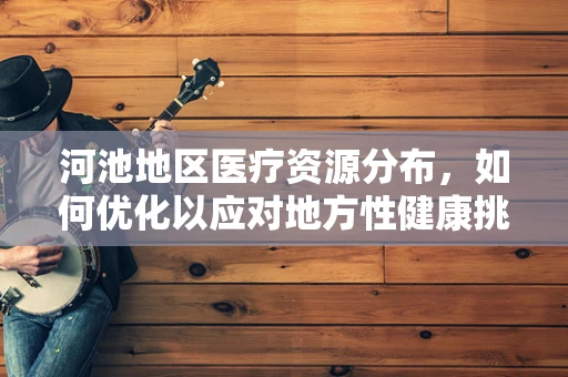 河池地区医疗资源分布，如何优化以应对地方性健康挑战？