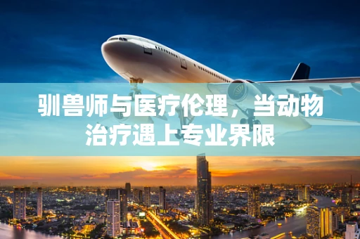 驯兽师与医疗伦理，当动物治疗遇上专业界限