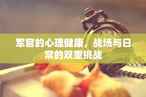 军官的心理健康，战场与日常的双重挑战