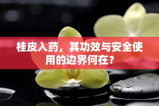 桂皮入药，其功效与安全使用的边界何在？