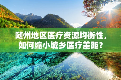 随州地区医疗资源均衡性，如何缩小城乡医疗差距？