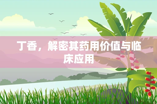 丁香，解密其药用价值与临床应用