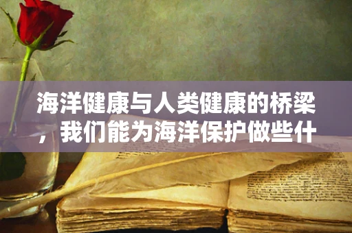 海洋健康与人类健康的桥梁，我们能为海洋保护做些什么？