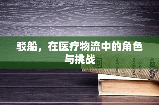 驳船，在医疗物流中的角色与挑战