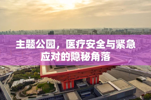 主题公园，医疗安全与紧急应对的隐秘角落