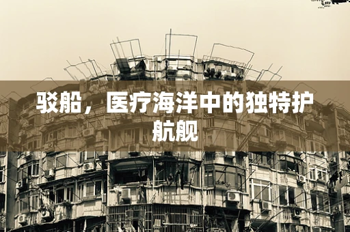 驳船，医疗海洋中的独特护航舰