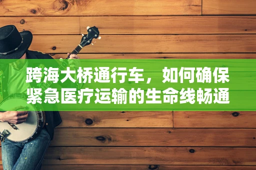 跨海大桥通行车，如何确保紧急医疗运输的生命线畅通无阻？