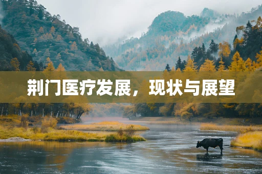荆门医疗发展，现状与展望