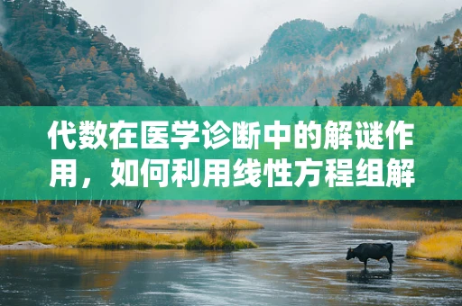 代数在医学诊断中的解谜作用，如何利用线性方程组解析患者病情？