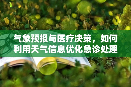 气象预报与医疗决策，如何利用天气信息优化急诊处理？