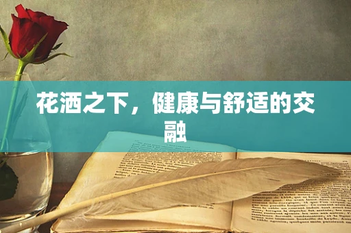 花洒之下，健康与舒适的交融