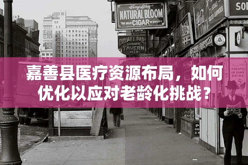 嘉善县医疗资源布局，如何优化以应对老龄化挑战？