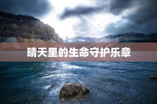 晴天里的生命守护乐章