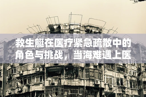 救生艇在医疗紧急疏散中的角色与挑战，当海难遇上医疗危机