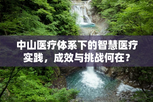 中山医疗体系下的智慧医疗实践，成效与挑战何在？