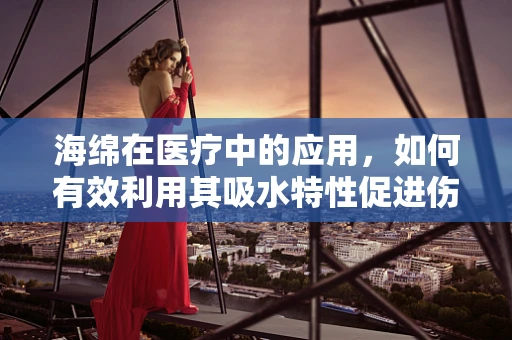 海绵在医疗中的应用，如何有效利用其吸水特性促进伤口愈合？