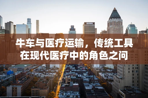 牛车与医疗运输，传统工具在现代医疗中的角色之问