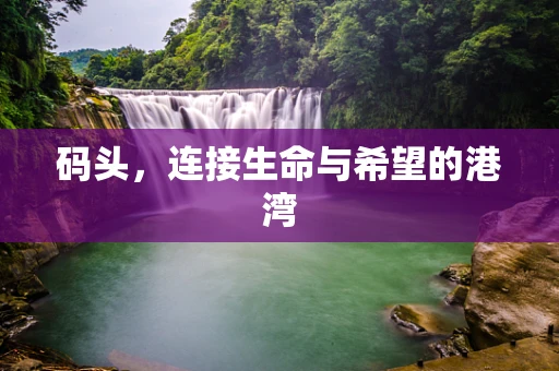 码头，连接生命与希望的港湾