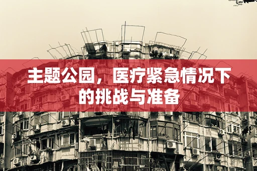 主题公园，医疗紧急情况下的挑战与准备