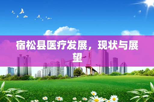宿松县医疗发展，现状与展望