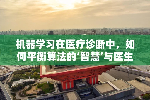 机器学习在医疗诊断中，如何平衡算法的‘智慧’与医生的‘直觉’？