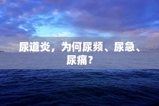 尿道炎，为何尿频、尿急、尿痛？