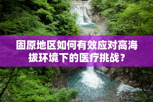 固原地区如何有效应对高海拔环境下的医疗挑战？