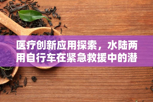 医疗创新应用探索，水陆两用自行车在紧急救援中的潜力与挑战