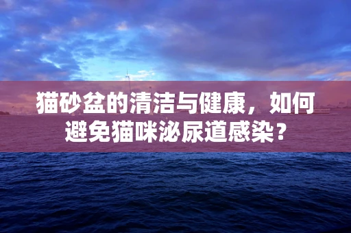 猫砂盆的清洁与健康，如何避免猫咪泌尿道感染？