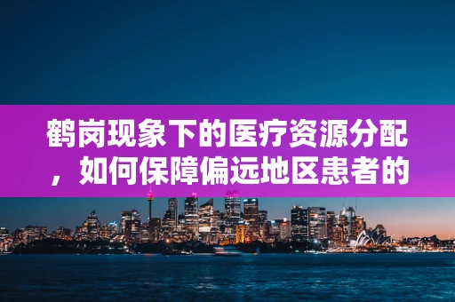 鹤岗现象下的医疗资源分配，如何保障偏远地区患者的就医需求？