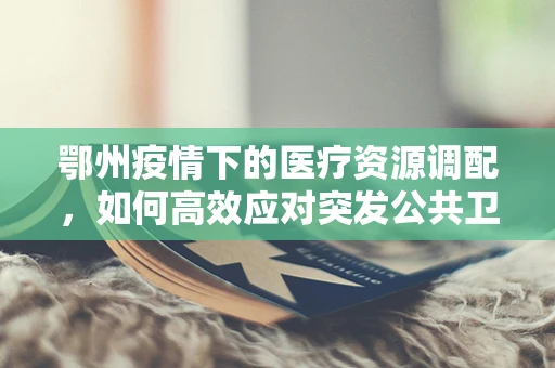 鄂州疫情下的医疗资源调配，如何高效应对突发公共卫生事件？