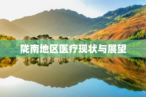 陇南地区医疗现状与展望