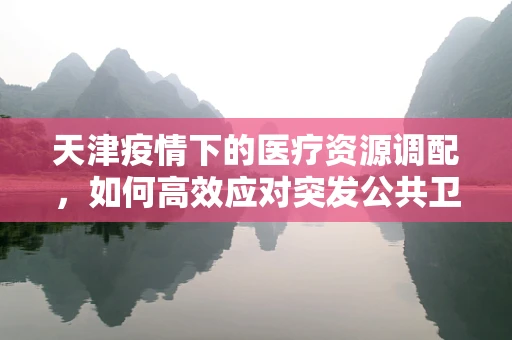 天津疫情下的医疗资源调配，如何高效应对突发公共卫生事件？