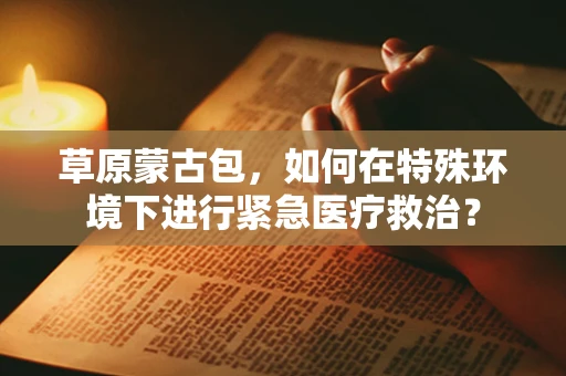 草原蒙古包，如何在特殊环境下进行紧急医疗救治？