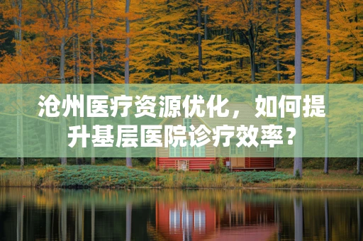沧州医疗资源优化，如何提升基层医院诊疗效率？