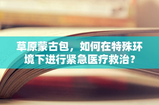 草原蒙古包，如何在特殊环境下进行紧急医疗救治？