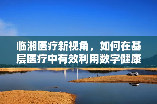 临湘医疗新视角，如何在基层医疗中有效利用数字健康工具提升诊疗效率？