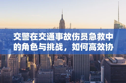 交警在交通事故伤员急救中的角色与挑战，如何高效协作？
