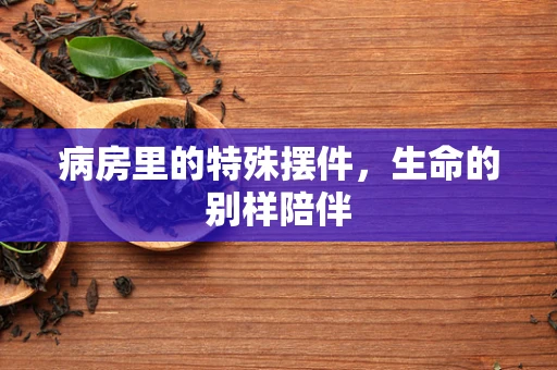 病房里的特殊摆件，生命的别样陪伴