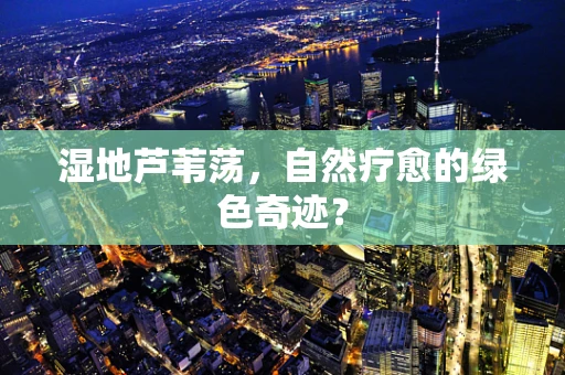 湿地芦苇荡，自然疗愈的绿色奇迹？