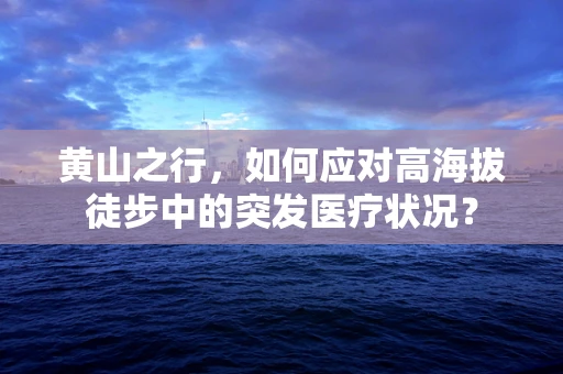 黄山之行，如何应对高海拔徒步中的突发医疗状况？