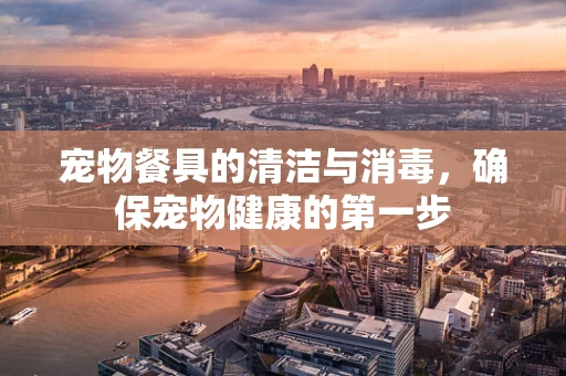 宠物餐具的清洁与消毒，确保宠物健康的第一步