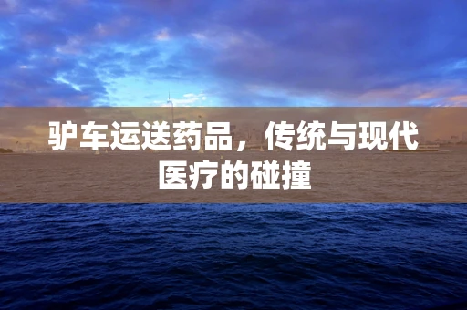 驴车运送药品，传统与现代医疗的碰撞