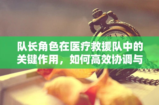 队长角色在医疗救援队中的关键作用，如何高效协调与决策？