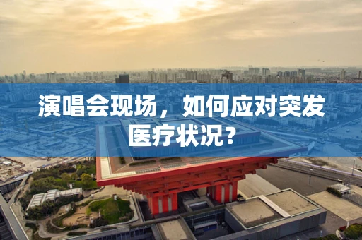 演唱会现场，如何应对突发医疗状况？