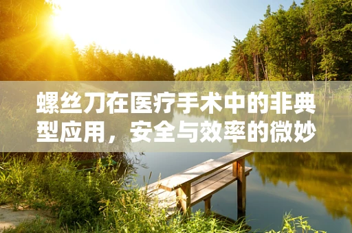 螺丝刀在医疗手术中的非典型应用，安全与效率的微妙平衡